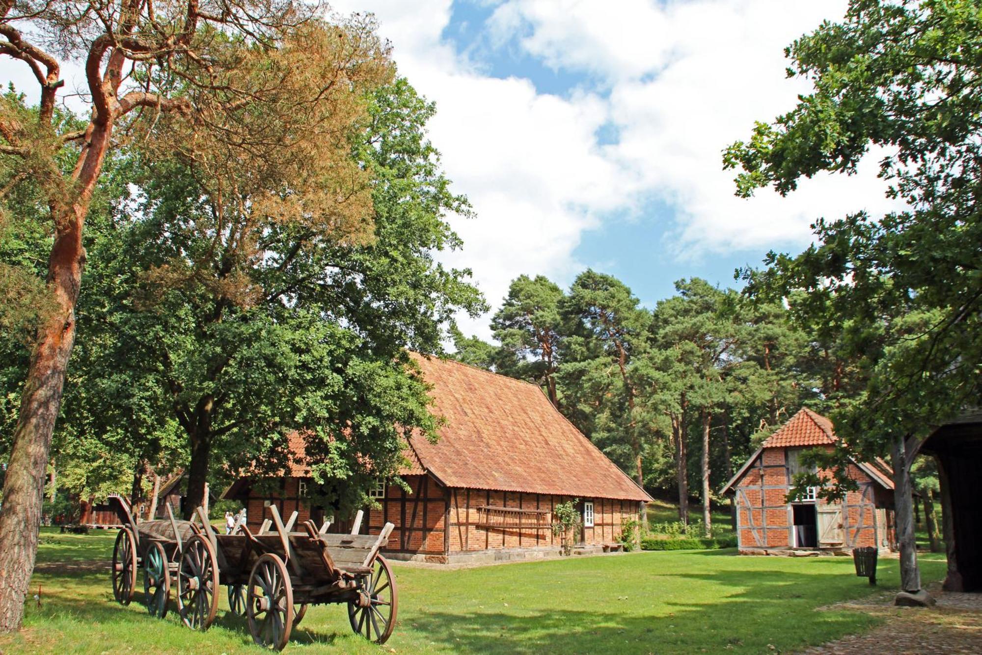 Ferienhaus Heideland Winsen Aller Meißendorf Esterno foto